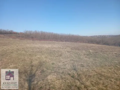 Prodaja, plac, 6000m², Obrenovac, Beograd - image 1