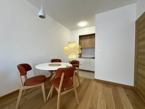 Izdavanje, jednosoban stan, 50m², City Kvart, Podgorica - image 5