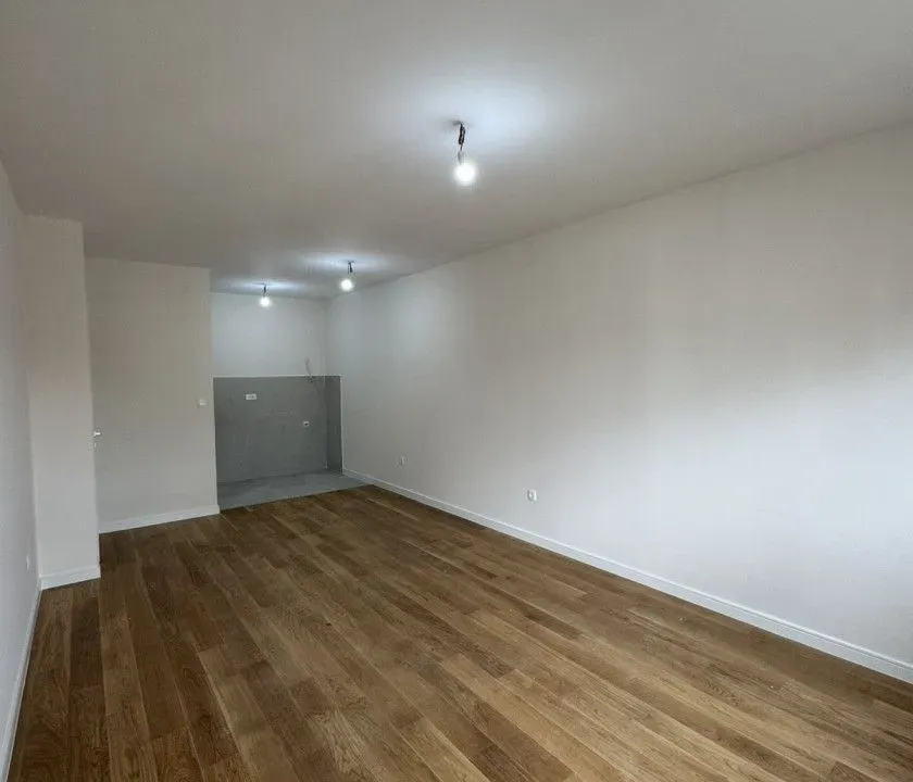 Izdavanje, jednosoban stan, 49m², Central Point, Podgorica