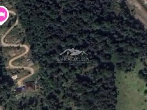 Prodaja, plac, 20000m², Mokra gora, Tara - image 4