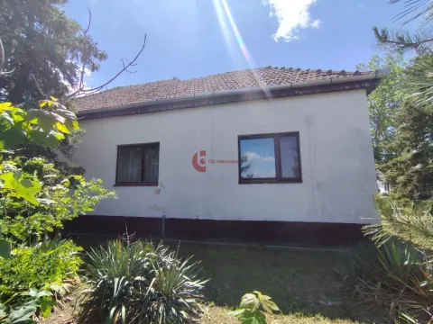 Prodaja, kuća, 880m², Bački Vinogradi, Subotica - image 6