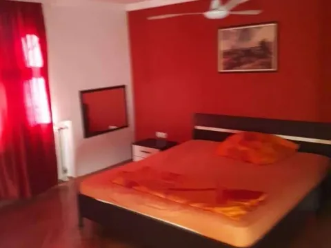 Izdavanje, kuća, 225m², Veternik, Novi Sad Sve Podlokacije - image 5