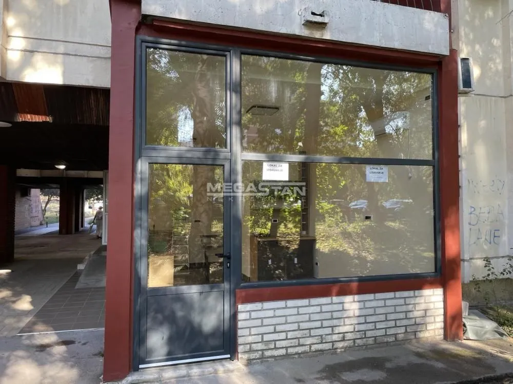 Izdavanje, poslovni prostor, 23m², Novi Beograd Sve Podlokacije, Beograd