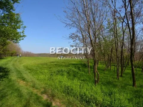 Prodaja, plac, 101m², Vrčin, Grocka - image 11