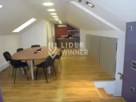 Izdavanje, stan, 220m², Stari Grad, Beograd - image 5