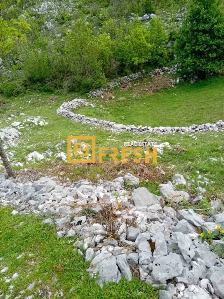 Prodaja, plac, 49212m², Cetinje, Crna Gora