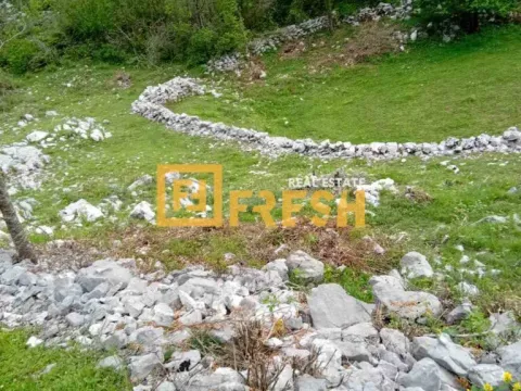 Prodaja, plac, 49212m², Cetinje, Crna Gora - image 5