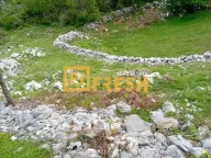 Prodaja, plac, 49212m², Cetinje, Crna Gora - image 5