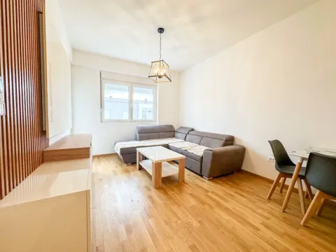 Rent, one bedroom apartment, 48m², Zabjelo, Podgorica - image 1