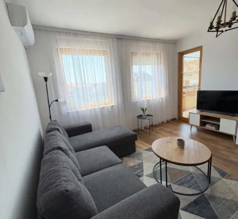 Izdavanje, jednosoban stan, 45m², Stari Aerodrom, Podgorica