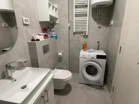 Izdavanje, jednosoban stan, 50m², Central Point, Podgorica - image 4