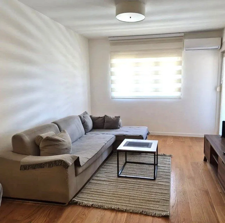 Izdavanje, jednosoban stan, 49m², Central Point, Podgorica