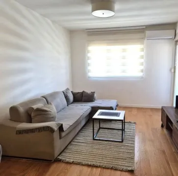 Izdavanje, jednosoban stan, 49m², Central Point, Podgorica - image 5