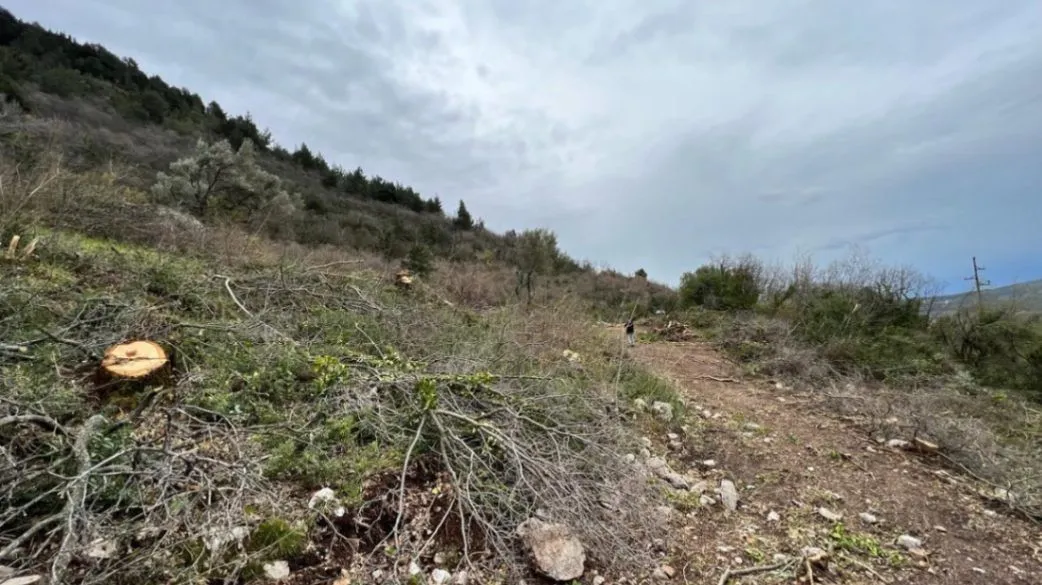 Prodaja, plac, 5520m², Dub, Kotor