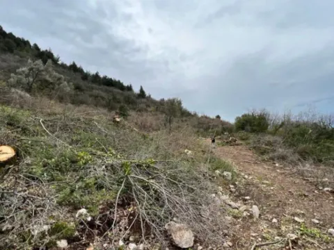 Prodaja, plac, 5520m², Dub, Kotor - image 3