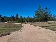 Sale, land lot, 533m², Žabljak, Crna Gora - image 7