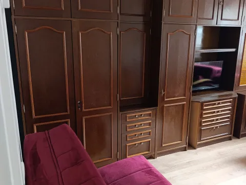 Izdavanje, jednosoban stan, 23m², Vračar Hram, Vračar Sve Podlokacije - image 2