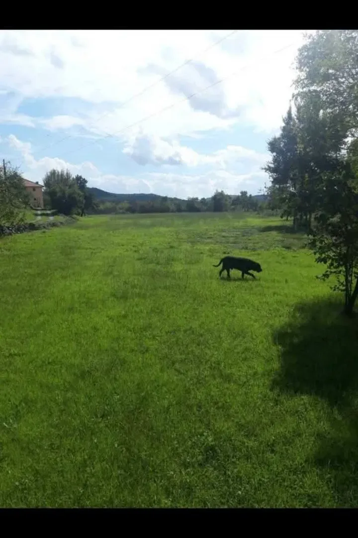 Prodaja, plac, 10m², Piperi, Podgorica