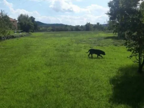 Sale, land lot, 10m², Piperi, Podgorica - image 5