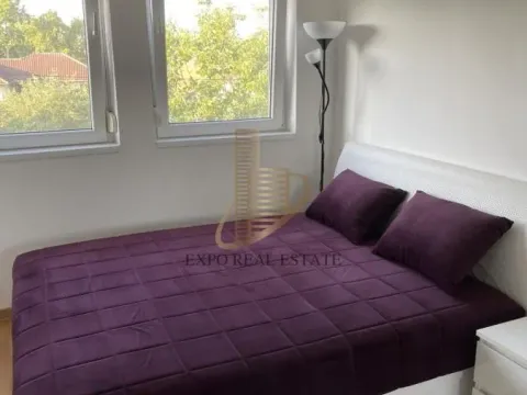 Izdavanje, dvosoban stan, 55m², Zemun Sve Podlokacije, Beograd - image 9