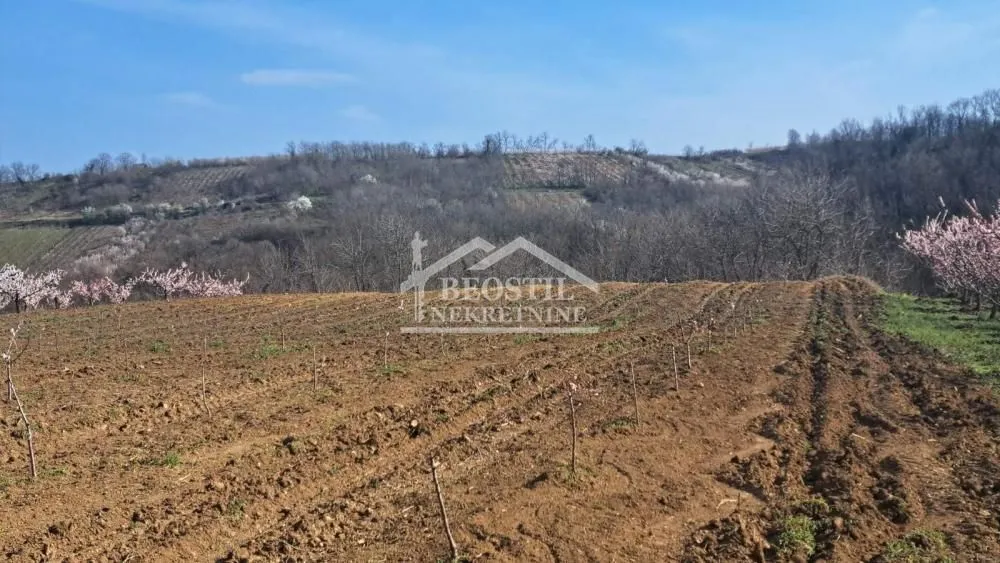 Prodaja, plac, 4058m², Brestovik, Grocka