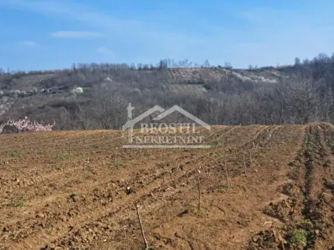 Sale, land lot, 4058m², Brestovik, Grocka - image 6