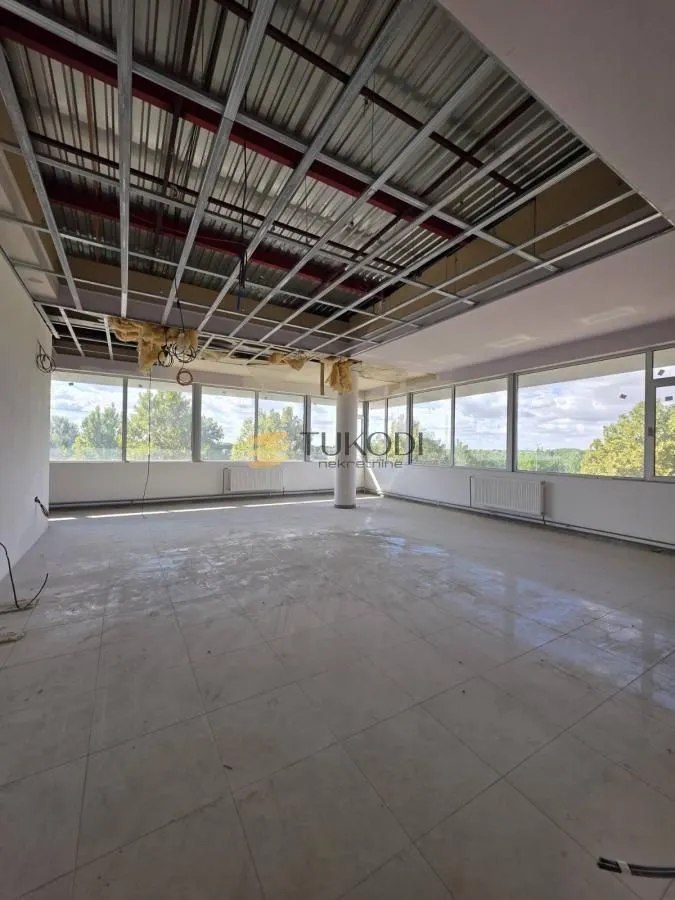 Rent, office space, 4597m², Šangaj, Novi Sad Sve Podlokacije