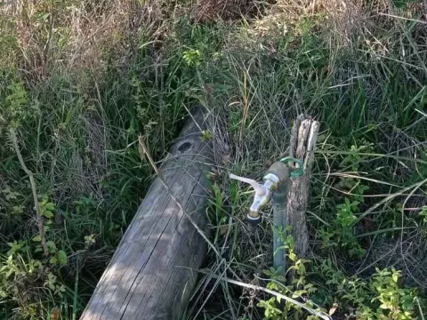 Prodaja, plac, 9142m², Danilovgrad, Crna Gora - image 5