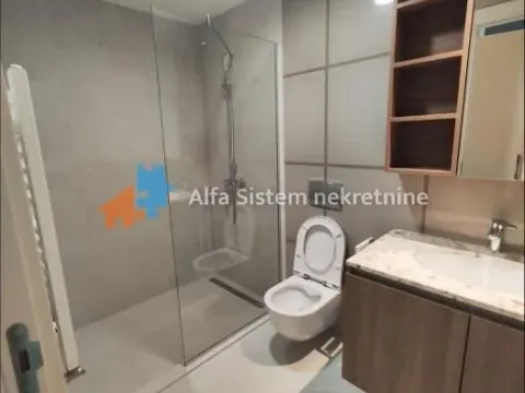 Izdavanje, dvosoban stan, 55m², Savski Venac, Beograd - image 7