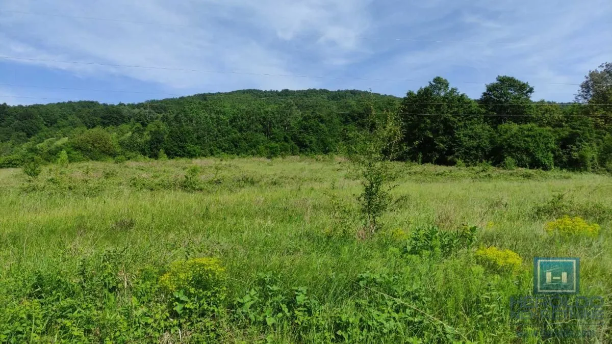 Prodaja, plac, 216600m², Resavica (varošica), Despotovac