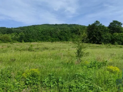 Prodaja, plac, 2166m², Resavica (varošica), Despotovac - image 8