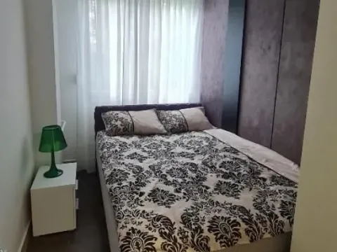 Izdavanje, dvosoban stan, 50m², Novi Beograd Sve Podlokacije, Beograd - image 7