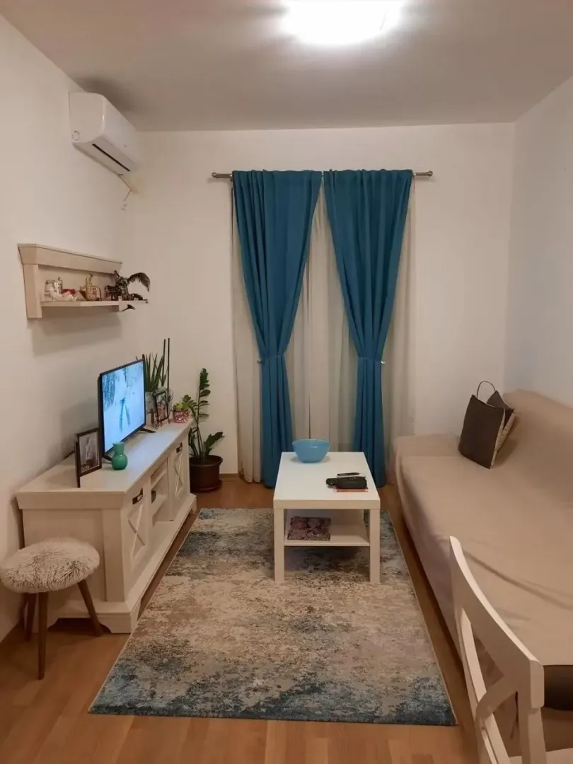 Living room with sofa, TV, and coffee table.