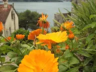 Prodaja, kuća, 136m², Perast, Kotor - image 11