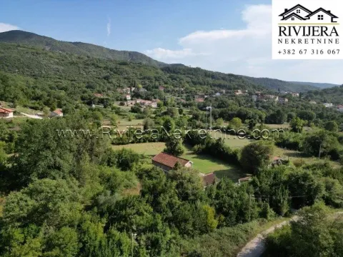 Zemljište in Zelenika