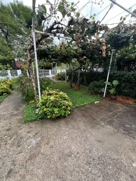 Yard of the house with greenery and a wooden pergola with grapevine. - image 10