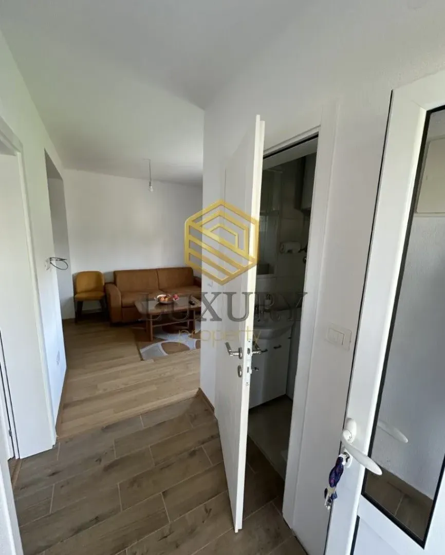 Rent, one bedroom apartment, 47m², Tološka šuma, Podgorica