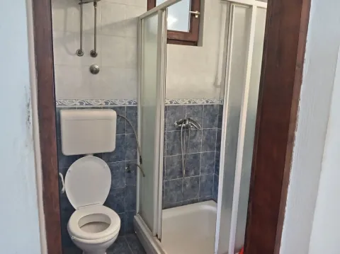 Smaller bathroom with blue tiles, shower cabin and toilet. - image 2