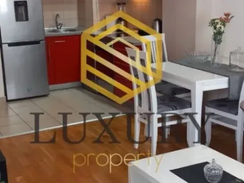 Izdavanje, jednosoban stan, 42m², Ljubović, Podgorica - image 12