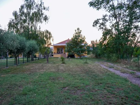Rent, house, 160m², Zeta, Podgorica - image 3