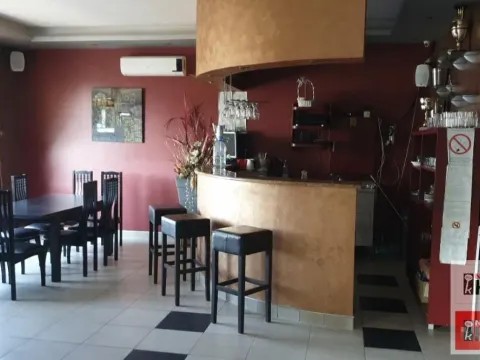 Rent, house, 1000m², Kać, Novi Sad Sve Podlokacije - image 9