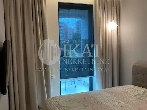 Izdavanje, dvosoban stan, 50m², Novi Beograd Sve Podlokacije, Beograd - image 12