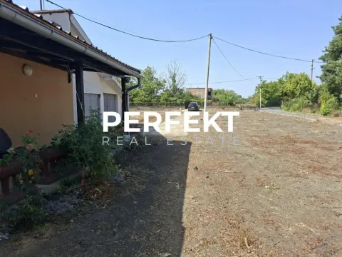 Pogled na dvorište i spoljašnjost kuće sa natkrivenim delom. - image 16