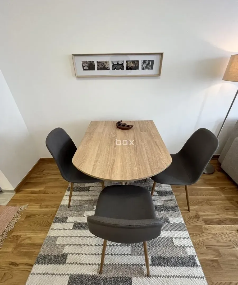 Rent, one bedroom apartment, 48m², Pantelej, Niš