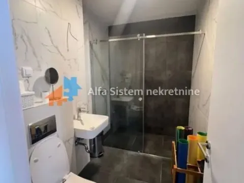 Rent, four bedroom apartment, 123m², Višnjička Banja, Palilula Sve Podlokacije - image 9