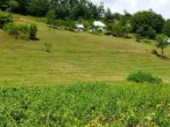 Sale, land lot, 30905m², Lepenac, Mojkovac - image 6