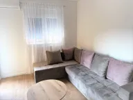 Izdavanje, jednosoban stan, 47m², Pobrežje, Podgorica - image 9