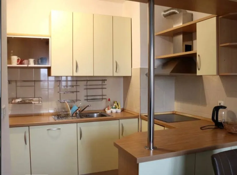 Rent, one bedroom apartment, 48m², Stari Aerodrom, Podgorica