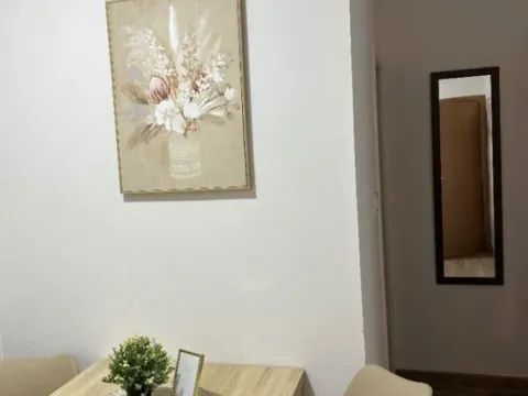 Izdavanje, jednosoban stan, 30m², Zelenika, Herceg Novi - image 9