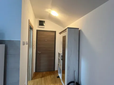 Rent, apartment, 23m², Ljubović, Podgorica - image 5